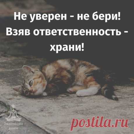 Правильные слова!