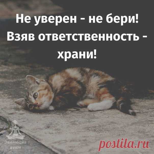 Правильные слова!