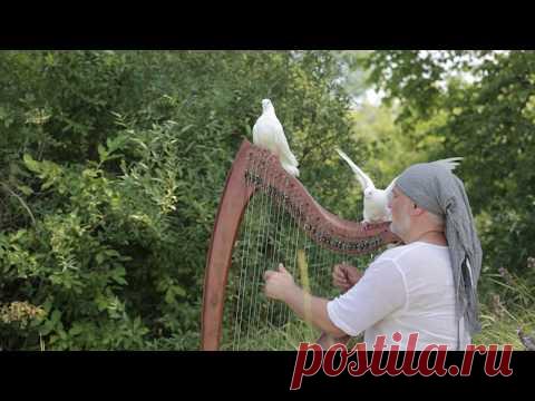 Alizbar   "Под белыми крыльями" / Under white wings - YouTube