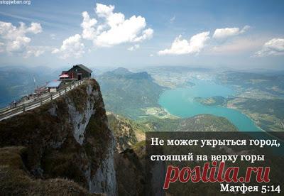 Последние события в СМИ по иску Минюста о запрете Свидетелей Иеговы в России ~  OUR COLLECTION & НАША КОЛЛЕКЦИЯ