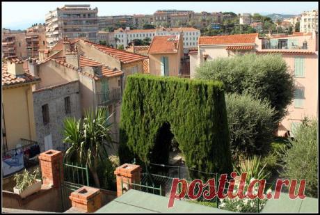 Лазурный берег, Канны. | Фотографии Светлана Верхошинская | 8083 фото