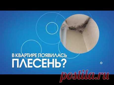 Вентиляционные клапаны для домашней вентиляции помещений от компании "Домашняя вентиляция"