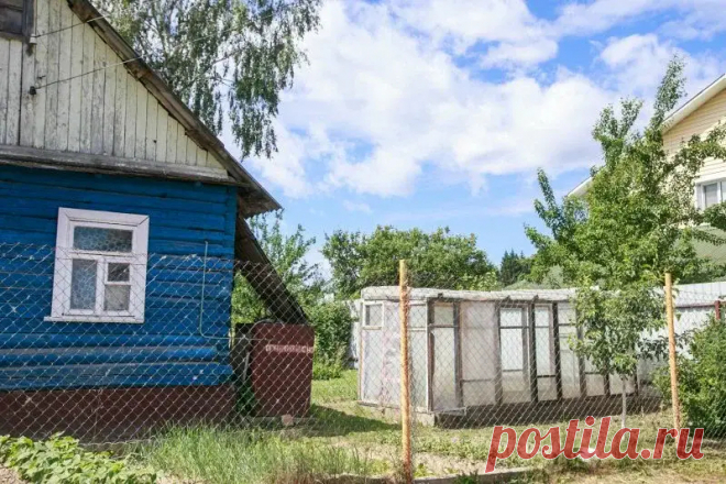 Как сохранить георгины до весны: проверенный способ для городской квартиры. Внимательно осмотрите клубни, удаляя поврежденные, подгнившие или слишком мелкие части.