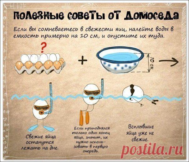 Фотографии на стене сообщества | 3 543 фотографии | ВКонтакте