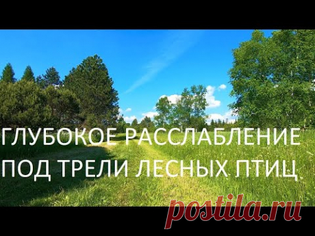 ПЕНИЕ СЛАВКИ,ЗЯБЛИКОВ И ПЕНОЧКИ-ЭТО ПЕВЧИЙ ОРКЕСТР ОТ БОГА.ИСЦЕЛЯЕТ НЕРВНУЮ СИСТЕМУ,ДАРИТ РАДОСТЬ.
