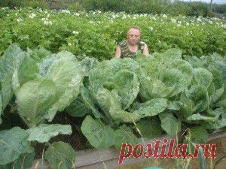ЧТО МОЖНО СДЕЛАТЬ СВОИМИ РУКАМИ ИЗ ХЛАМА