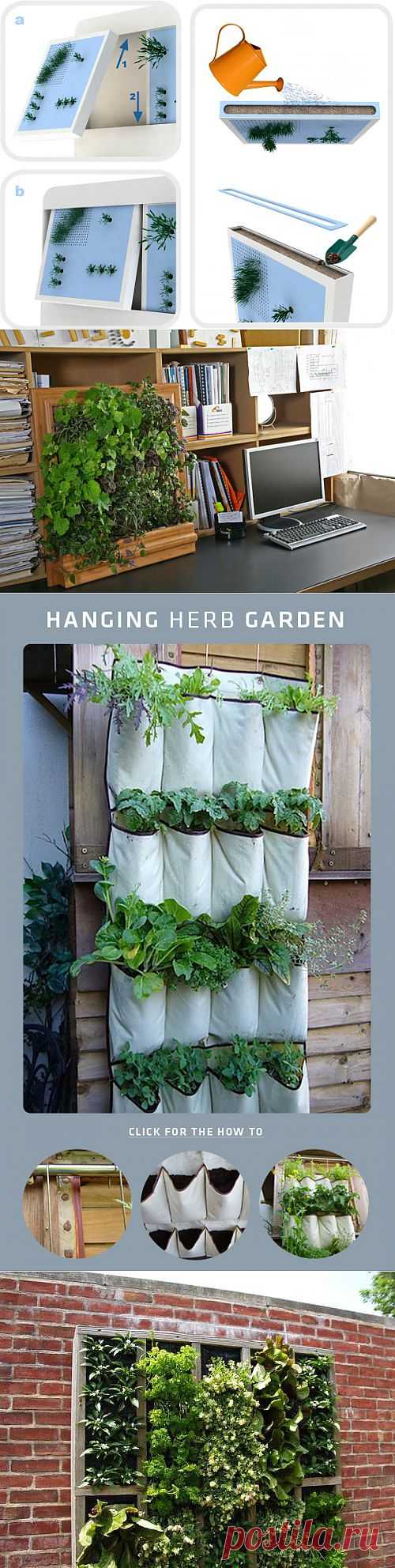 Растения в доме - "живая стена" в виде вертикальных садов