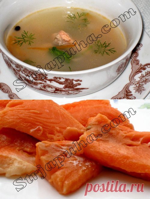 Рыбный суп из форели