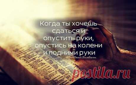 мудрые мысли в картинках - Поиск в Google
