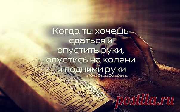 мудрые мысли в картинках - Поиск в Google