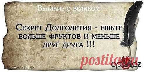ВСЁ ЛУЧШЕЕ ИЗ YOU TUBE (16 плюс)
aleksander rafailov