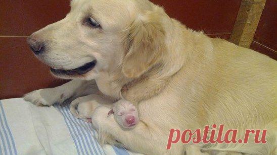 (57) Одноклассники