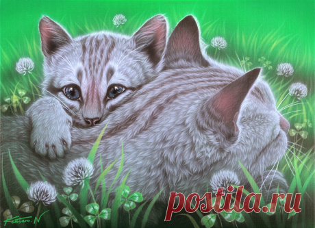 Восхитительные картины японского художника Kentaro Nishino