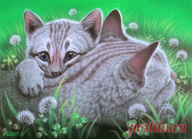 Восхитительные картины японского художника Kentaro Nishino