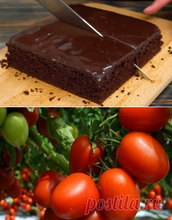 Как же вкусно! Никто не догадается из чего этот Брауни
Структура этого брауни просто невероятная! Влажный, мягкий, нежный и оооочень шоколадный! Один СЕКРЕТНЫЙ ингредиент — и получается шедевр! Настоящий шоколадный торт! Рецепт очень простой и быстрый. Форма 23*23 см. Все ингредиенты должны быть комнатной температуры! Тесто: 150 гр. шоколада 130 гр. сахара (по вкусу) 2 средних яйца 50 гр. сливочного масла 40 гр. растительного масла […]
Читай дальше на сайте. Жми подробнее ➡