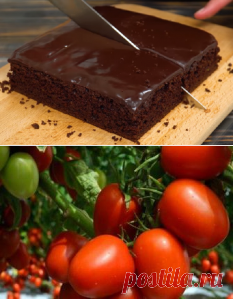 Как же вкусно! Никто не догадается из чего этот Брауни
Структура этого брауни просто невероятная! Влажный, мягкий, нежный и оооочень шоколадный! Один СЕКРЕТНЫЙ ингредиент — и получается шедевр! Настоящий шоколадный торт! Рецепт очень простой и быстрый. Форма 23*23 см. Все ингредиенты должны быть комнатной температуры! Тесто: 150 гр. шоколада 130 гр. сахара (по вкусу) 2 средних яйца 50 гр. сливочного масла 40 гр. растительного масла […]
Читай дальше на сайте. Жми подробнее ➡