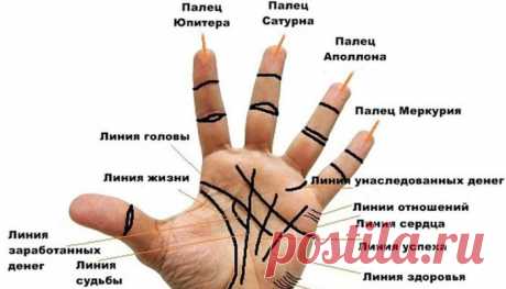 Как правильно читать линии на ладони? / Мистика