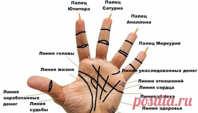Как правильно читать линии на ладони? / Мистика
