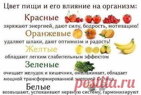 ЦВЕТ ПИЩИ И ЕГО ВЛИЯНИЕ НА ОРГАНИЗМ.