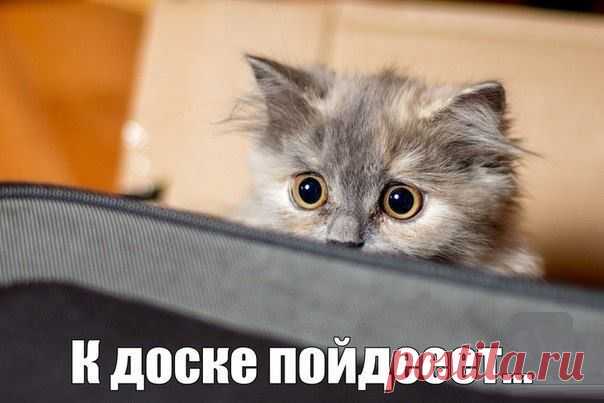 только не я ...