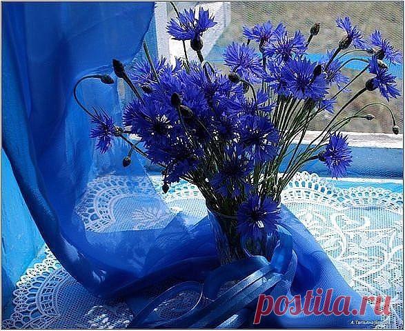 (19) Одноклассники