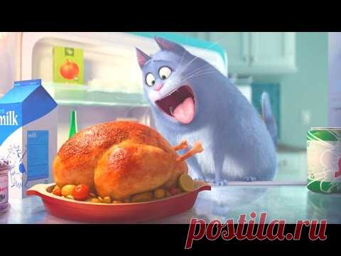 Что делают наши любимцы, когда хозяев нет дома