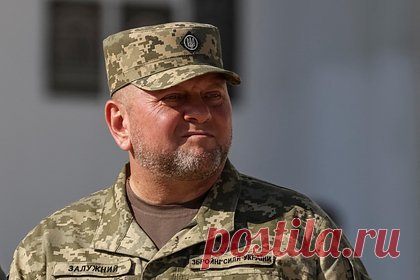 Бывший премьер Украины назвал «покровителя» Залужного. Президент Украины Владимир Зеленский снял бы Валерия Залужного с должности главнокомандующего Вооруженными силами республики, однако не может этого сделать из-за давления США. Об этом заявил экс-премьер страны Николай Азаров. По словам Азарова, глава государства хочет списать все неудачи на Залужного.