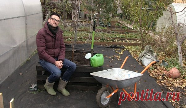 4 СПОСОБА ЛЕГКО ИЗБАВИТЬСЯ ОТ СОРНЯКОВ | Виталий Декабрев | Яндекс Дзен