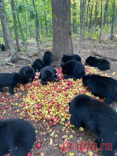Рекомендуем | Tumblr