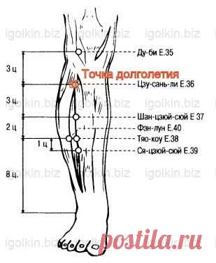 Точка от ста болезней - Vsim Shop