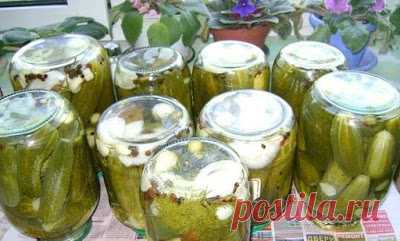 Шустрый повар.: ОГУРЦЫ, МАРИНОВАННЫЕ ПО-БОЛГАРСКИ.