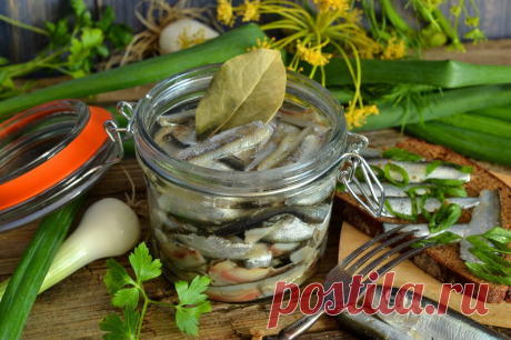 Домашняя килька. Рецепт вкусной кильки домашнего посола. Фото