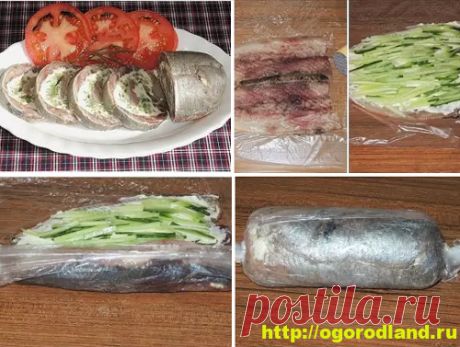 Закуски с сельдью. Вкусные холодные закуски для праздника