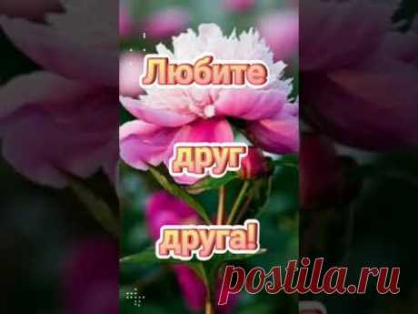 Доброе утро! Пожелание доброго утра. Открытка с добрым утром