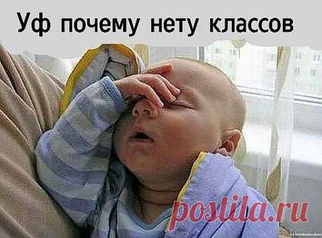 (29) Одноклассники
