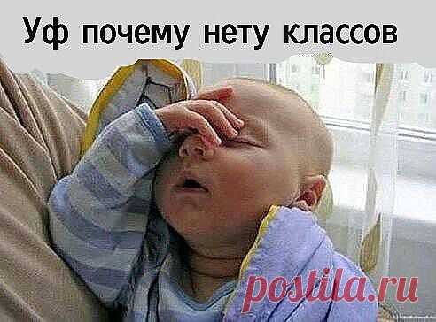 (29) Одноклассники
