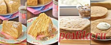 Изучаем мировую кулинарию: Польский медовик «Сытник» 


Поляки шикарно готовят десерты и выпечку!









Что нужно: 
Тесто:Масло сливочное — 100 гр.,Сахар — 120 гр. (полстакана),Яйца — 3 шт.,Мёд — 250 гр. ( 1 стакан),Чайная сода — 1 ч.л.,Мука — 350 гр…