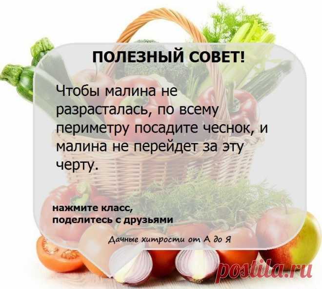 (49) Одноклассники