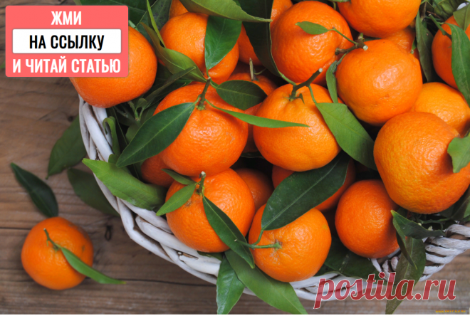 Минтай, пикша, треска с овощами в чесночном соусе. Вкусно, полезно. Диетическое меню для диабетиков.
Пикша,минтай,треска или сайда запеченные в духовке, в фольге. Всем привет. Меня давно не было на канале. Проблемы со здоровьем. Решила поделиться с вами вкусным и диетическим рецептом из рыбы. Это может быть и пикша, и минтай, и треска ,и навага или сайда. Попробуйте — это вкусно. Ну а теперь сам рецепт. В 100 ГР.-0,5 ХЕ. […]
Читай дальше на сайте. Жми подробнее ➡