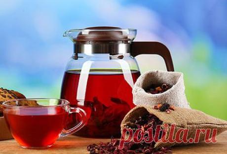 ♥ღ♥Все, что нужно знать о каркаде♥ღ♥