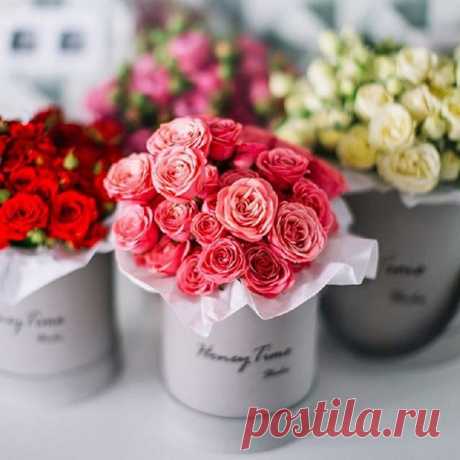 Замечательного воскресного дня!
Солнца, тепла и хорошего настроения