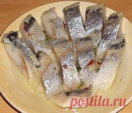 Шесть маринадов для селедки.