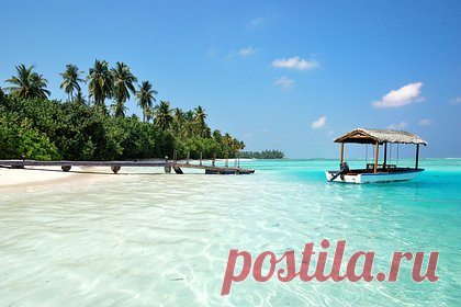 Рада поддержала отставку отдохнувшего на Мальдивах депутата. Верховная Рада Украины поддержала отставку депутата от партии президента страны «Слуга народа», зампредседателя комитета парламента по вопросам национальной безопасности Юрия Аристова, замеченного на курорте на Мальдивах. Об этом сообщил нардеп Ярослав Железняк. За это решение проголосовали 320 депутатов.