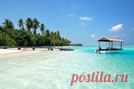 Рада поддержала отставку отдохнувшего на Мальдивах депутата. Верховная Рада Украины поддержала отставку депутата от партии президента страны «Слуга народа», зампредседателя комитета парламента по вопросам национальной безопасности Юрия Аристова, замеченного на курорте на Мальдивах. Об этом сообщил нардеп Ярослав Железняк. За это решение проголосовали 320 депутатов.