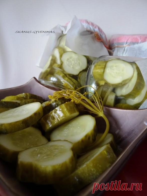 » Marinuoti agurkėliai pjaustyti riekelėmis