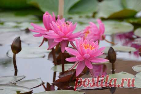 Редактировать описание