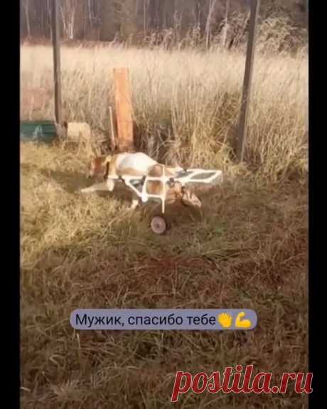 (24) Одноклассники