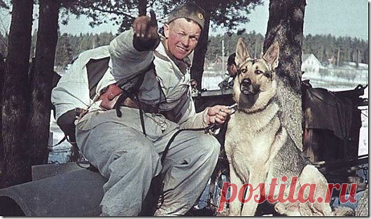 Цветные фото военных лет | SOFTMIXER