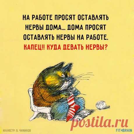 Куда?Куда????????