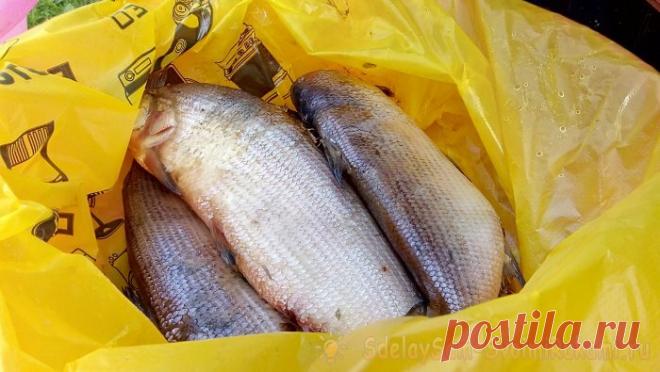 Делаем коптильню из бочки и готовим рыбу как в гастрономах СССР | Сделай сам - своими руками | Дзен